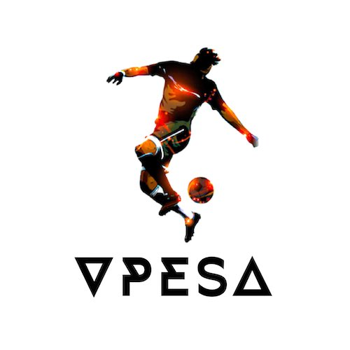 The logo of the VPESA.